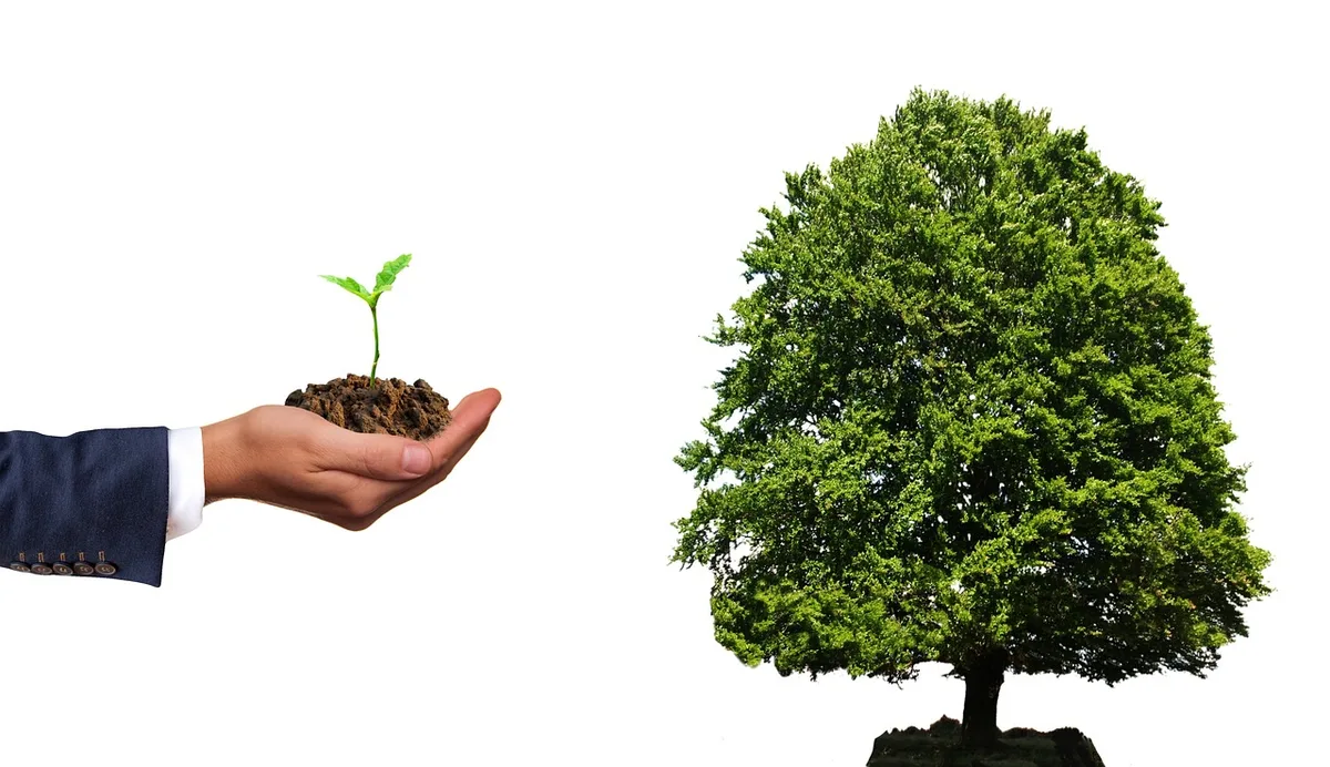 Main tenant plusieurs fiches illustrant différentes classes d'actifs