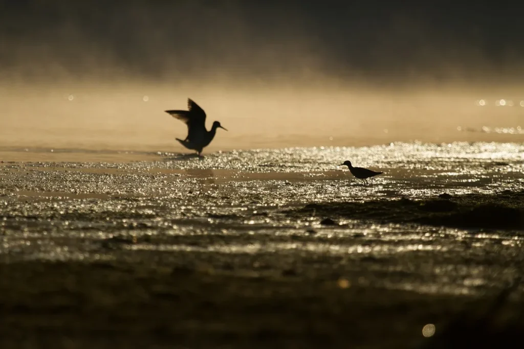 Voilier en silhouette au crépuscule, mât et poupe visibles, ambiance de mer calme